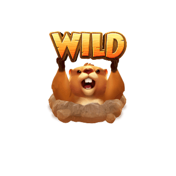 Wild Groundhog Harvest 1 เกมสล็อตทุกค่าย ทดลองเล่นสล็อต PG ฟรี