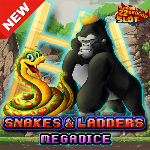 Banner-Snakes-and-Ladders-Megadice 22Dragon